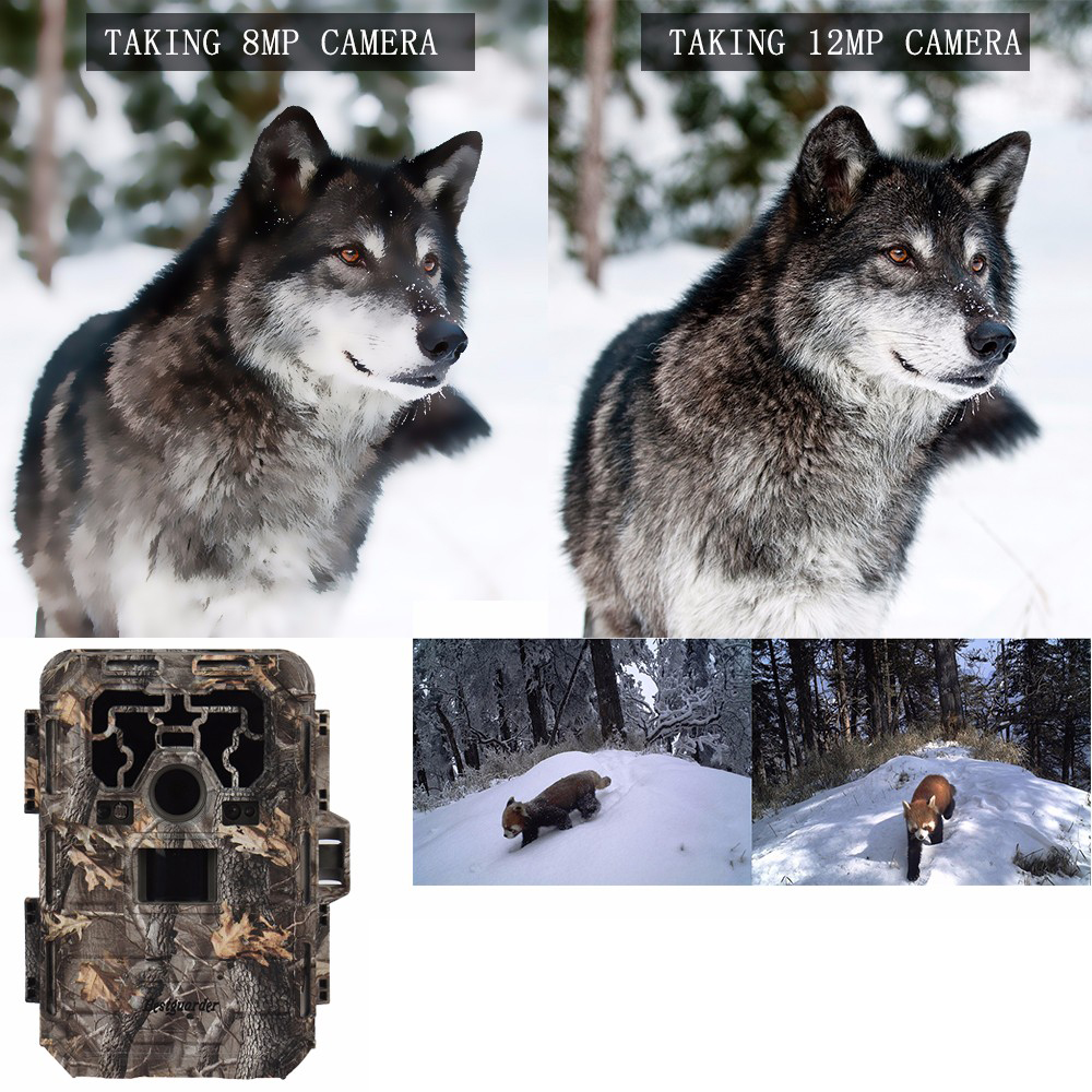 Охотничья фотоловушка DTC-880V